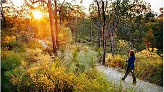 Chermside West to Brisbane Airport (BNE) | Reliable Airport Transfer