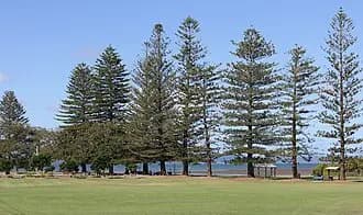 Cleveland to Brisbane Airport (BNE) | Reliable Airport Transfer