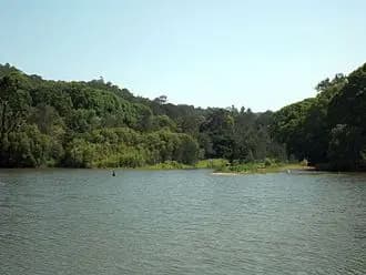 Currumbin Valley to Brisbane Airport (BNE) | Reliable Airport Transfer