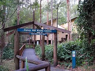 Daisy Hill to Brisbane Airport (BNE) | Reliable Airport Transfer