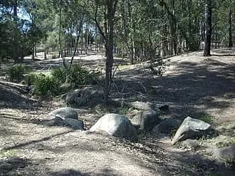 Everton Hills to Brisbane Airport (BNE) | Reliable Airport Transfer