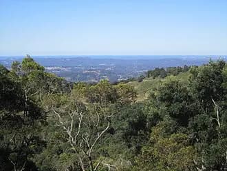 Flaxton to Brisbane Airport (BNE) | Reliable Airport Transfer
