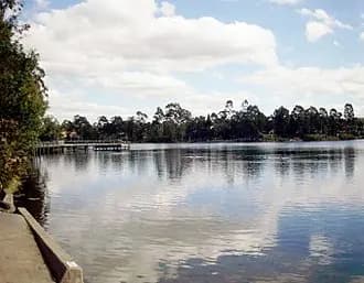 Forest Lake to Brisbane Airport (BNE) | Reliable Airport Transfer