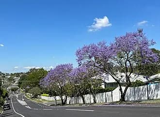 Gordon Park to Brisbane Airport (BNE) | Reliable Airport Transfer