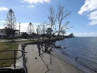 Griffin to Brisbane Airport (BNE) | Reliable Airport Transfer