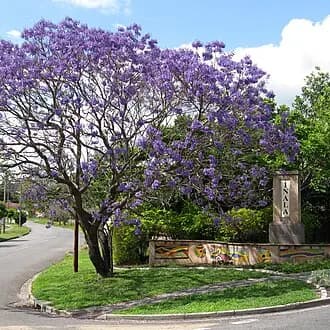 Inala to Brisbane Airport (BNE) | Reliable Airport Transfer