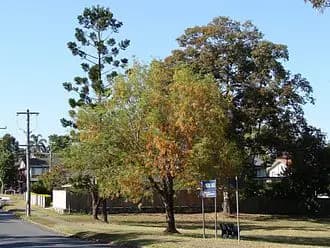 Jamboree Heights to Brisbane Airport (BNE) | Reliable Airport Transfer