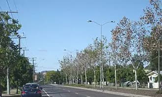 Leichhardt to Brisbane Airport (BNE) | Reliable Airport Transfer
