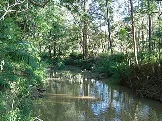 Mansfield to Brisbane Airport (BNE) | Reliable Airport Transfer