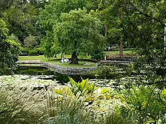 Mount Coot-tha to Brisbane Airport (BNE) | Reliable Airport Transfer