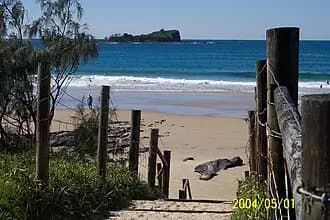 Mudjimba to Brisbane Airport (BNE) | Reliable Airport Transfer