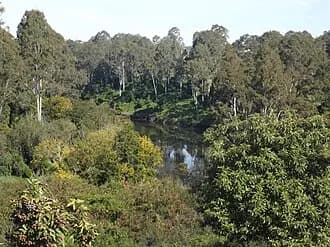 North Ipswich to Brisbane Airport (BNE) | Reliable Airport Transfer