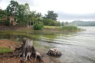 North Maleny to Brisbane Airport (BNE) | Reliable Airport Transfer