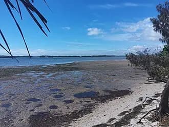 Pelican Waters to Brisbane Airport (BNE) | Reliable Airport Transfer