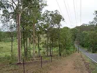Pinjarra Hills to Brisbane Airport (BNE) | Reliable Airport Transfer