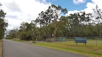 Ransome to Brisbane Airport (BNE) | Reliable Airport Transfer