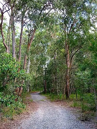 Stretton to Brisbane Airport (BNE) | Reliable Airport Transfer