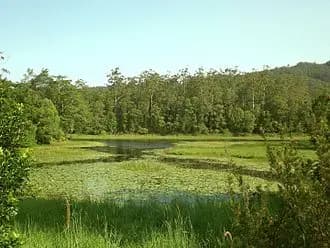 Tallebudgera Valley to Brisbane Airport (BNE) | Reliable Airport Transfer