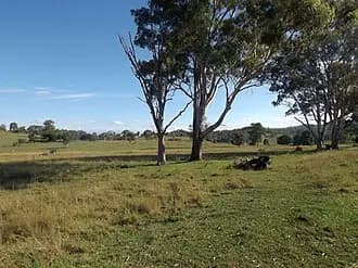 Tamrookum Creek to Brisbane Airport (BNE) | Reliable Airport Transfer