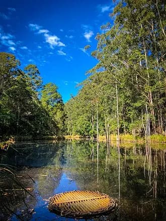Tanawha to Brisbane Airport (BNE) | Reliable Airport Transfer