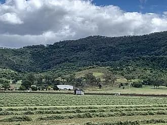 Upper Tenthill to Brisbane Airport (BNE) | Reliable Airport Transfer