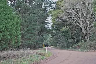 Wedding Car Hire in Cherokee