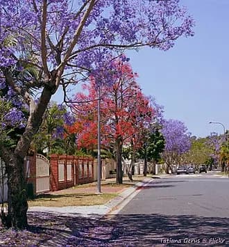 Westlake to Brisbane Airport (BNE) | Reliable Airport Transfer