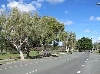 Windaroo to Brisbane Airport (BNE) | Reliable Airport Transfer