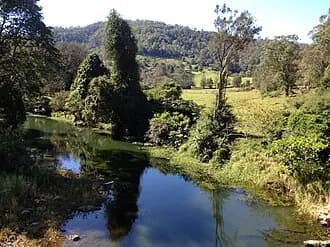 Wongawallan to Brisbane Airport (BNE) | Reliable Airport Transfer