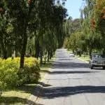 Banksia Park to Adelaide Airport (ADL) | Reliable Airport Transfer