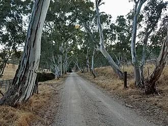 Dawesley to Adelaide Airport (ADL) | Reliable Airport Transfer