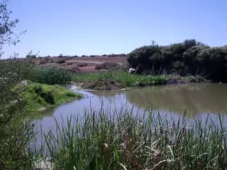 Dry Creek to Adelaide Airport (ADL) | Reliable Airport Transfer