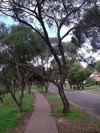 Ingle Farm to Adelaide Airport (ADL) | Reliable Airport Transfer