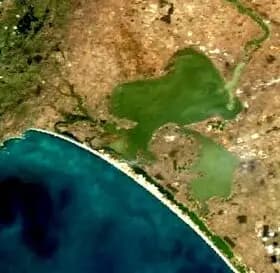Lake Alexandrina to Adelaide Airport | Reliable Airport Transfer