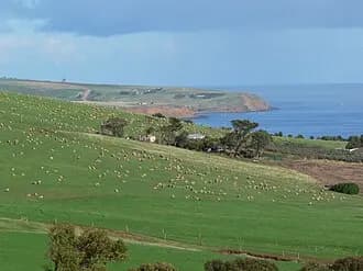 Myponga Beach to Adelaide Airport (ADL) | Reliable Airport Transfer
