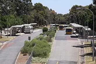 Paradise to Adelaide Airport (ADL) | Reliable Airport Transfer