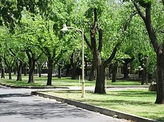 Rose Park to Adelaide Airport (ADL) | Reliable Airport Transfer
