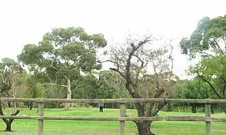 Valley View to Adelaide Airport (ADL) | Reliable Airport Transfer
