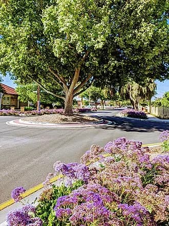 West Croydon to Adelaide Airport | Reliable Airport Transfer