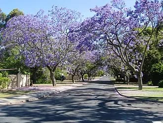 Applecross to Perth Airport (PER) | Reliable Airport Transfer