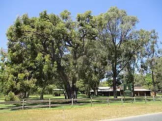 Karnup to Perth Airport (PER) | Reliable Airport Transfer