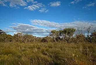 Kensington to Perth Airport (PER) | Reliable Airport Transfer