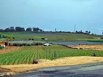 Neerabup to Perth Airport (PER) | Reliable Airport Transfer