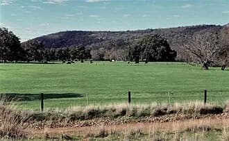 Wungong to Perth Airport (PER) | Reliable Airport Transfer