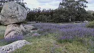 Greenvale to Melbourne Airport (MEL) | Reliable Airport Transfer