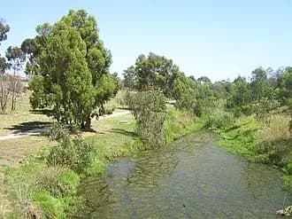 Deer Park to Melbourne Airport (MEL) | Reliable Airport Transfer