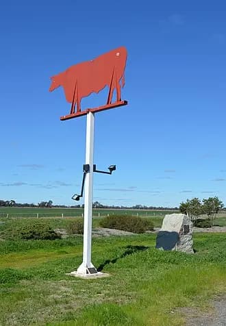 Durham Ox to Melbourne Airport (MEL) | Reliable Airport Transfer