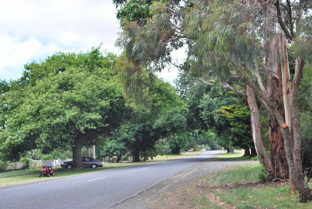 Yendon to Melbourne Airport (MEL) | Reliable Airport Transfer