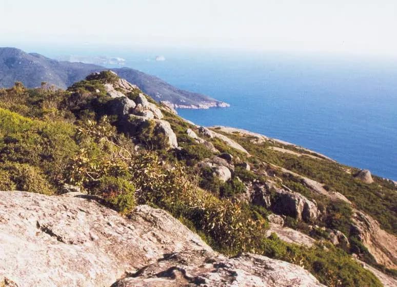 Wilsons Promontory to Melbourne Airport (MEL) | Reliable Airport Transfer