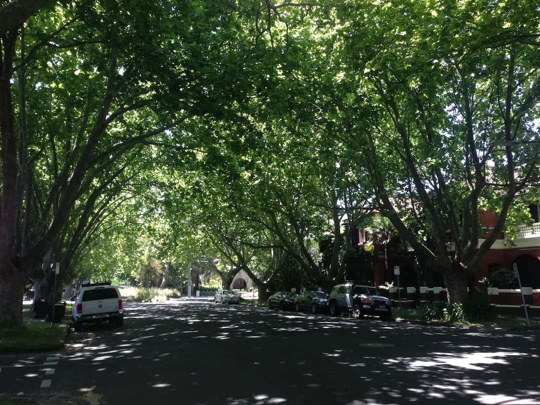 St Kilda West to Melbourne Airport (MEL) | Reliable Airport Transfer
